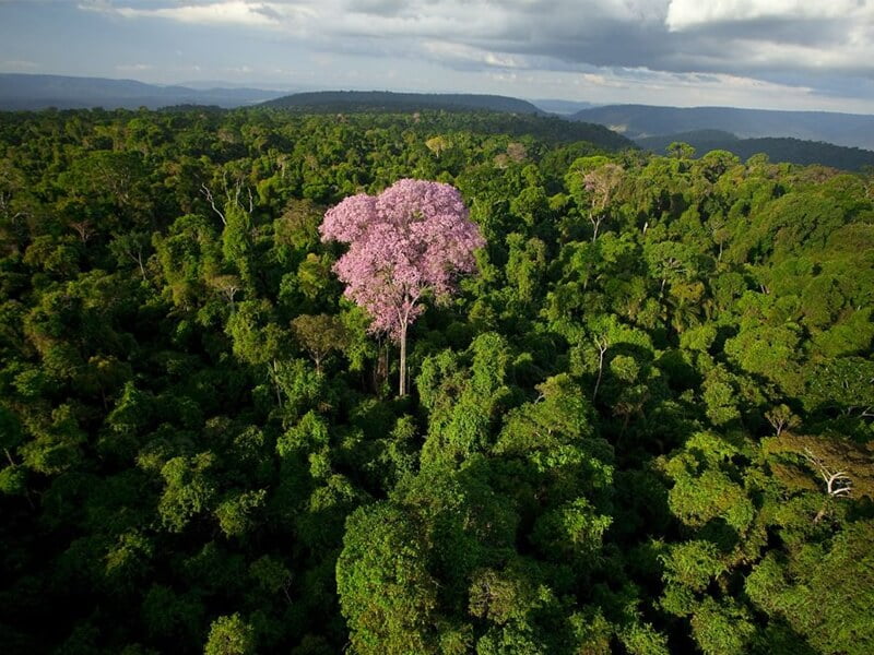 Vale preserva a natureza e apoia a cultura