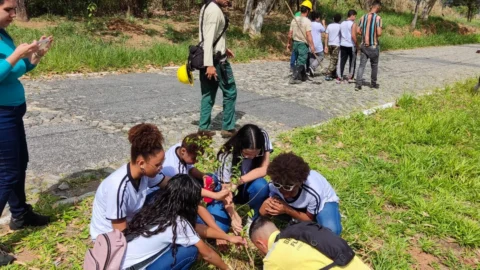 Dia da árvore reúne parceiros em prol da preservação ambiental