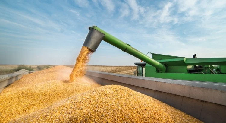 Destaques dos jornais integrantes da Rede Sindijori MG 1 A pesquisa englobou os dados da produção agrícola municipal referentes a 2022 (Reprodução)