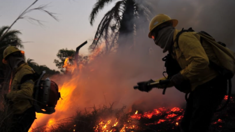 Onda de calor em Minas Gerais pode superar os 39°C e aumentar o risco de incêndios florestais no estado 6 Onda de calor em Minas Gerais pode superar os 39°C e aumentar o risco de incêndios florestais no estado