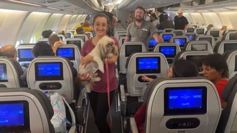 Segunda aeronave com brasileiros decola de Israel com 214 brasileiros, um cachorro e três gatos 2 Segunda aeronave com brasileiros decola de Israel com 214 brasileiros, um cachorro e três gatos