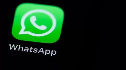 Centro de Controle de Zoonoses (CCZ) tem novo número de Whatsapp 1 Centro de Controle de Zoonoses (CCZ) tem novo número de Whatsapp