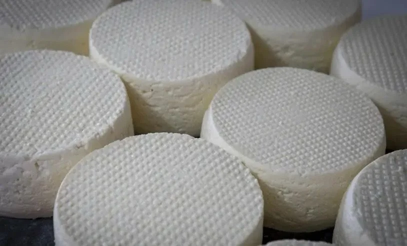 O Queijo do Serro conquistou sete medalhas na 6ª edição do Concurso do Mundial de Queijo de Tours. Foto