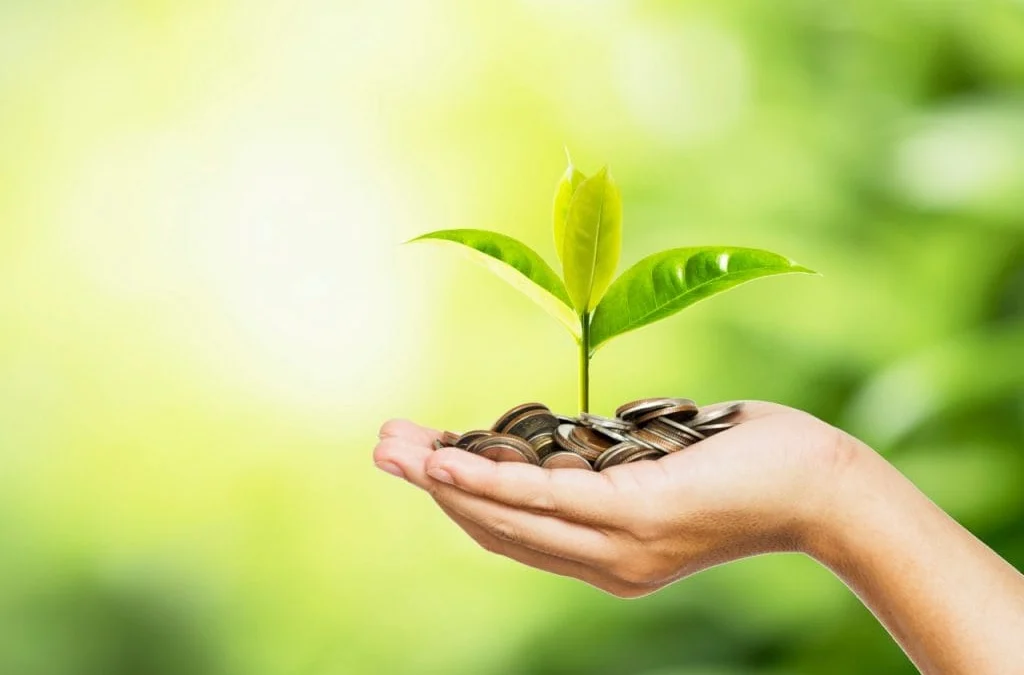 Seis meses após o lançamento em Minas Gerais, o Banco de Iniciativa de Pagamentos por Serviços Ambientais (PSA) já possui adesão de 22