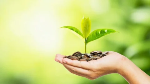 Cresce adesão ao Banco de Iniciativa de Pagamentos por Serviços Ambientais de Minas Gerais 9 Cresce adesão ao Banco de Iniciativa de Pagamentos por Serviços Ambientais de Minas Gerais