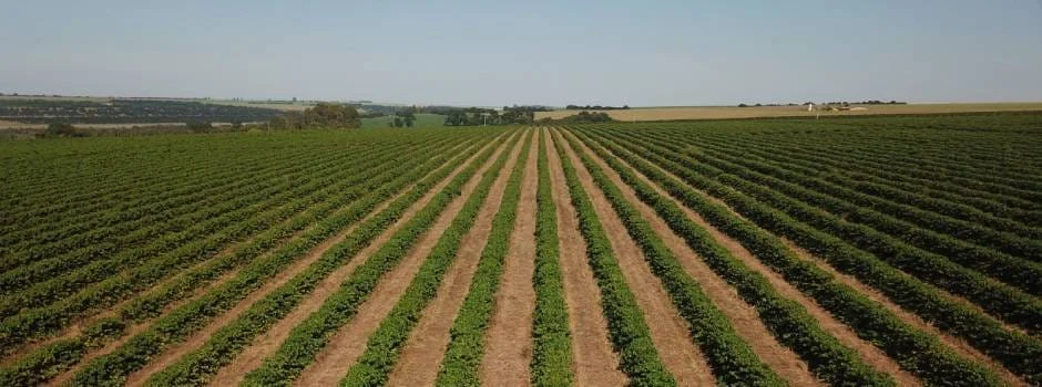 Governo promove encontro de inovação na Semana Internacional do Café 2023 1 O Governo de Minas, por meio da Secretaria de Agricultura, Pecuária e Abastecimento (Seapa), promove o Hub Conecta Day SIC 2023,