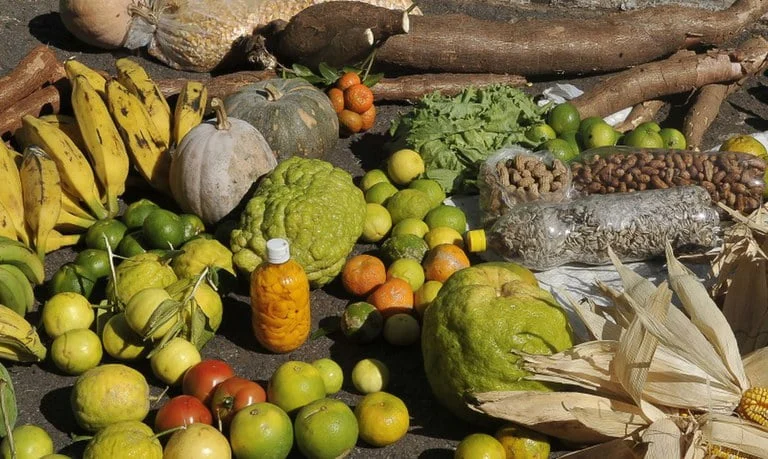 Governo Federal destina mais R$ 250 milhões para Programa de Aquisição de Alimentos 1 O Governo Federal anunciou, nesta segunda-feira (16/10), mais R$ 250 milhões em investimentos nas ações do Programa de Aquisição