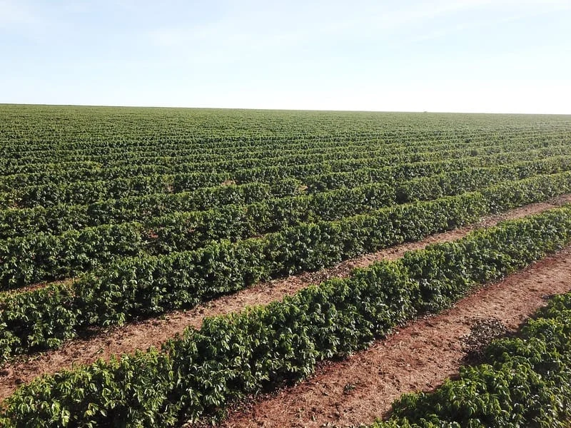 Avanço na redução de carbono é tema do próximo episódio do 16º Seminário de Políticas Públicas para o Setor Rural 1 Estão abertas as inscrições para o quarto e último episódio do 16º Seminário de Políticas Públicas para o Setor Rural, que desde setembro