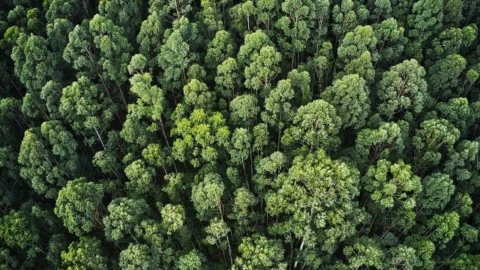 Índice de desempenho ambiental para outorgas e renovação de licenciamentos é regulamentado em Minas 