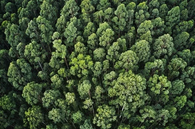 Índice de desempenho ambiental para outorgas e renovação de licenciamentos é regulamentado em Minas 1 O trabalho do Sistema Estadual de Meio Ambiente e Recursos Hídricos (Sisema) para qualificar o processo de concessão de outorgas