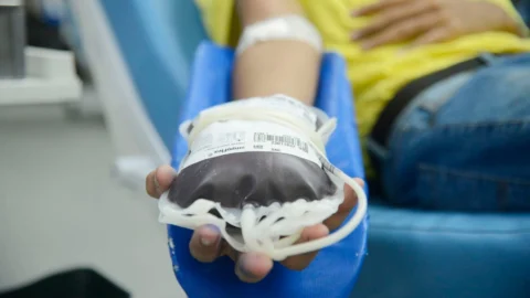 Fundação Pró-Sangue faz apelo por doações antes do feriado