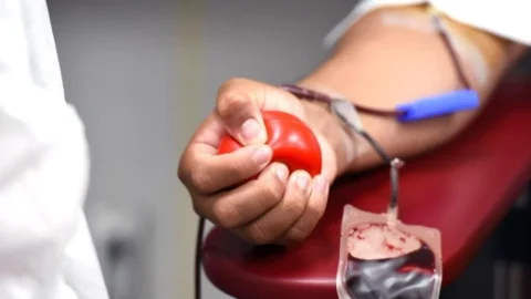 Unidades da Hemominas alteram funcionamento devido ao feriado de Finados 8 Unidades da Hemominas alteram funcionamento devido ao feriado de Finados