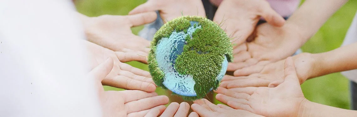 sustentabilidade