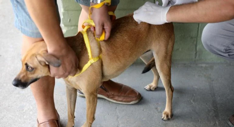 Prefeitura e Univale juntas contra a raiva 1 Na manhã desta quarta-feira (4), os alunos do Curso de Medicina Veterinária da Univale promoveram uma ação comunitária, no bairro São Pedro