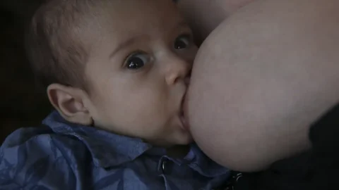 Bebês e gestantes precisam de comidas leves e mais líquido no calor 3 Bebês e gestantes precisam de comidas leves e mais líquido no calor
