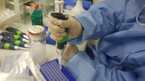 MS vai definir estratégias para primeiro laboratório de biossegurança máxima da América Latina