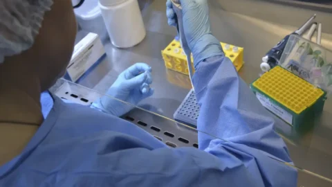 Vacina da chikungunya induz resposta imune em 98,8% dos vacinados