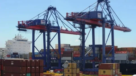 Governo Federal anuncia a abertura de novos mercados agrícolas na Colômbia e no Japão 8 Governo Federal anuncia a abertura de novos mercados agrícolas na Colômbia e no Japão