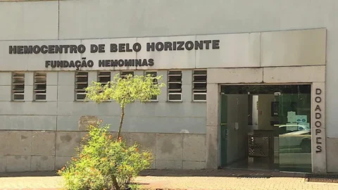 Hemominas reúne profissionais de saúde para treinamento intensivo sobre Doença Falciforme