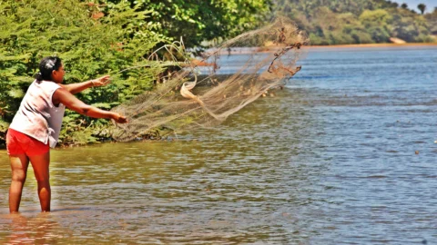 Mulheres são maioria dos pescadores profissionais em 5 estados do país 4 Mulheres são maioria dos pescadores profissionais em 5 estados do país