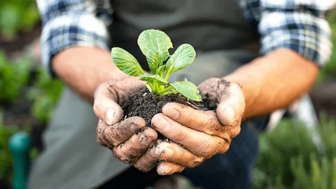 Começa hoje no Rio 12º Congresso Brasileiro de Agroecologia 2 Começa hoje no Rio 12º Congresso Brasileiro de Agroecologia