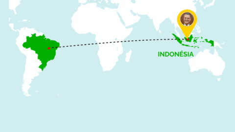 MAPA encerra missão na Índia com avanços na abertura de mercados e comércio bilateral