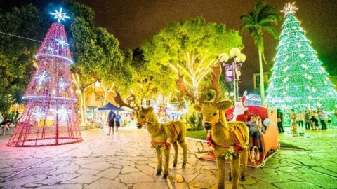 Começa amanhã (1º) o Natal Iluminado 2023 de Valadares 3 Começa amanhã (1º) o Natal Iluminado 2023 de Valadares