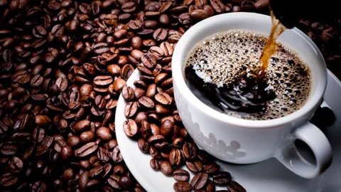 Emater-MG divulga os finalistas do 20º Concurso de Qualidade dos Cafés de Minas Gerais