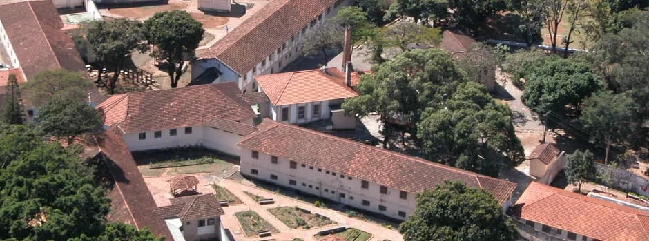 São diversas áreas, do nível técnico ao superior. Confira as oportunidades e os prazos para as inscrições