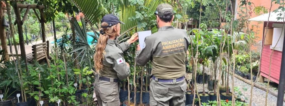 Operação de Fiscalização Preventiva promove regularidade de atividades relacionadas à flora em Minas 1 A operação verificou 27 empreendimentos nos municípios de Coimbra e Teixeiras, na Zona da Mata, e teve como propósito assegurar
