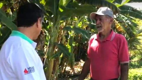 Especialistas destacam diversificação de culturas como alternativa segura para agricultura familiar 6 Especialistas destacam diversificação de culturas como alternativa segura para agricultura familiar