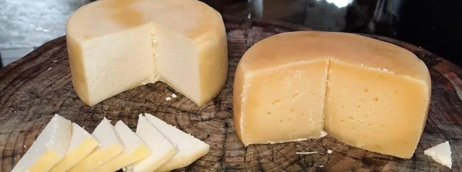 Mais de 800 visitas técnicas a estabelecimentos produtores de queijo artesanal foram realizadas em 160 municípios através do Projeto Queijo