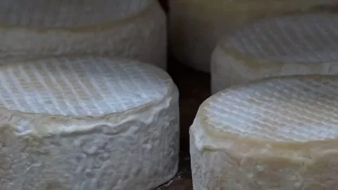 Investimento do Governo em pesquisas valoriza o queijo mineiro, garante qualidade e melhora a renda das famílias 7 Investimento do Governo em pesquisas valoriza o queijo mineiro, garante qualidade e melhora a renda das famílias