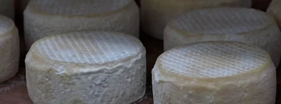 Investimento do Governo em pesquisas valoriza o queijo mineiro, garante qualidade e melhora a renda das famílias 1 Importante produto econômica e culturalmente em Minas Gerais e no Brasil, o queijo tem na ciência um aliado de peso