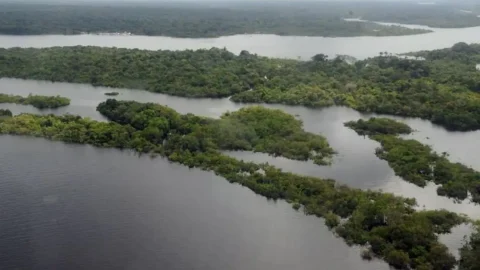 Projeto de lei vai facilitar regularização de terras na Amazônia
