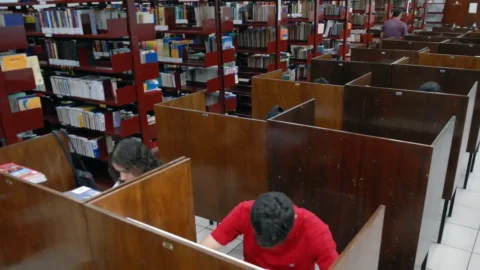 Hábito de leitura resulta em melhores avaliações em várias disciplinas 10 Hábito de leitura resulta em melhores avaliações em várias disciplinas