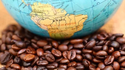 Exportação dos Cafés do Brasil neste ano atinge 30,62 milhões de sacas 6 Exportação dos Cafés do Brasil neste ano atinge 30,62 milhões de sacas