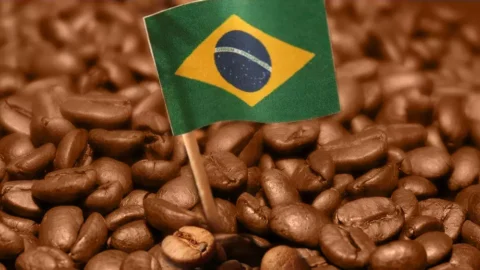 Receita bruta dos Cafés do Brasil ocupa a quarta posição no ranking nacional das lavouras 5 Receita bruta dos Cafés do Brasil ocupa a quarta posição no ranking nacional das lavouras