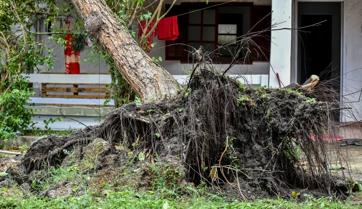 Especialista explica influência da ação humana nos extremos climáticos 1 De acordo com as previsões, o calor forte combinado com o aumento da umidade e ventos em altos níveis potencializam as chuvas nos estados