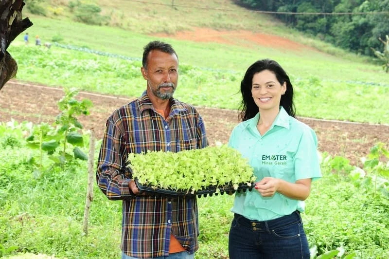 O anúncio ocorreu durante a premiação Melhores do Agronegócio, promovida pela Revista Globo Rural, na quarta-feira (29/11), em São Paulo
