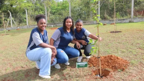 Abertas as inscrições para municípios interessados em participar do Jovens Mineiros Sustentáveis 2024