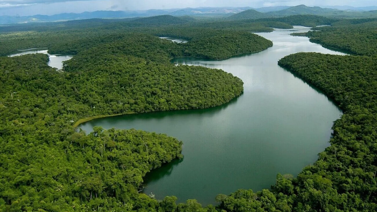 Às vésperas da esperada Conferência das Nações Unidas sobre Mudanças Climáticas (COP 28), na qual o Governo de Minas participa