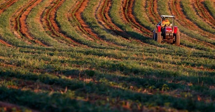 Em MG, para agricultura foi liberado entre julho e setembro montante de R$ 14,34 bilhões (Paulo Whitaker/Reuters)