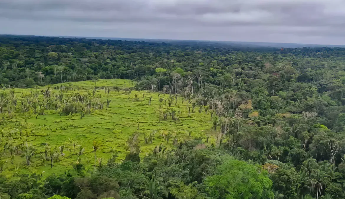 O crescimento do mercado de carbono é uma das principais apostas de especialistas de todo o mundo para reduzir o ritmo das mudanças