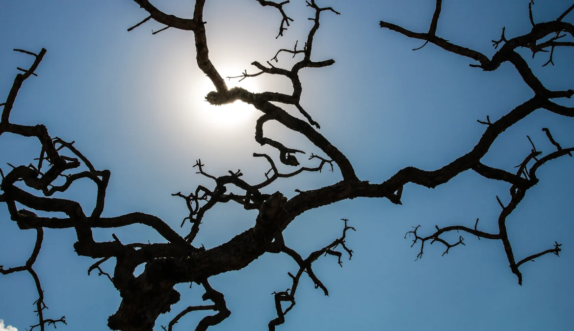 A temperatura média no Brasil atingiu nível recorde pelo quarto mês seguido em outubro