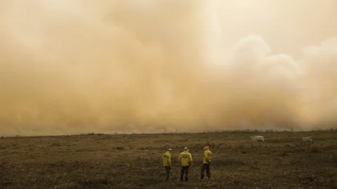 Governo quer plano de controle de desmatamento para todos os biomas 3 Governo quer plano de controle de desmatamento para todos os biomas