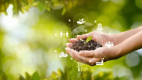 Sistema de Licenciamento Ambiental, que tornou os processos 100% digitais, completa 4 anos 