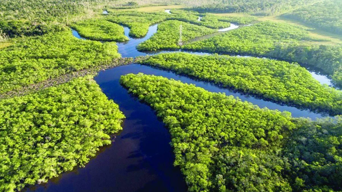 Inscrições para edital do Amazônia Resiliente terminam dia 31 1 O Fundo Casa Socioambiental abriu um edital para garantir recursos a 34 projetos de defesa de territórios na Amazônia