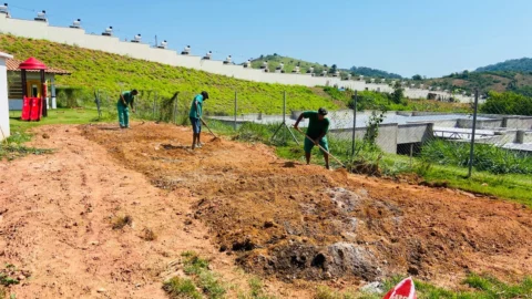 Penitenciária de Muriaé fornece 1,4 mil mudas para cultivo de horta comunitária em escola municipal