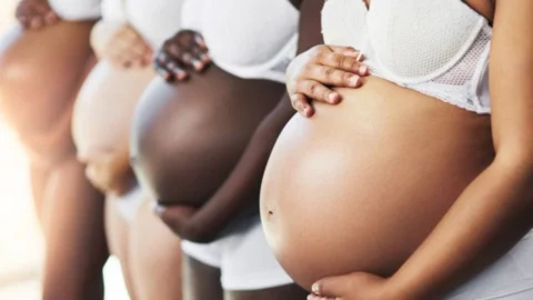 Ipsemg cria grupo de gestantes para esclarecer dúvidas relacionadas ao período gestacional 3 Ipsemg cria grupo de gestantes para esclarecer dúvidas relacionadas ao período gestacional
